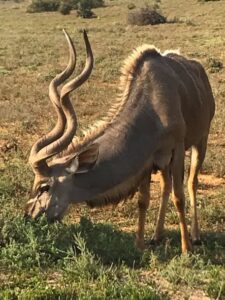 122601062_135711471615158_6003593733657912801_n