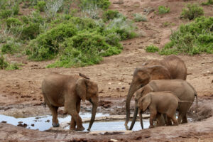 A2F913AB-1A07-4158-BCF4-5131BC08229D_1_105_c