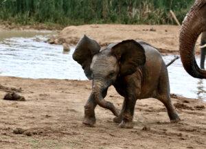 E001A93C-52C3-4580-866C-9E4BBE3FD583_1_105_c