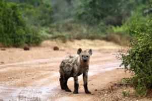 F16C7F19-383F-4CBE-A8F1-A41E08009D9E_1_105_c