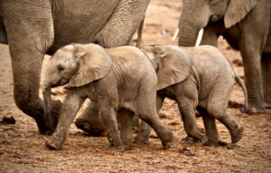 F4FC0324-6B58-4106-B097-2FFE0776EDD8_1_105_c