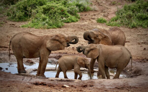 F71F2AA1-9997-4C9F-8D31-7B17DF41ECC2_1_105_c